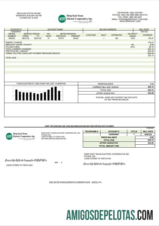 imprimível Modelo de conta de serviço público elétrico do Deep East Texas dos EUA em formato Word e PDF